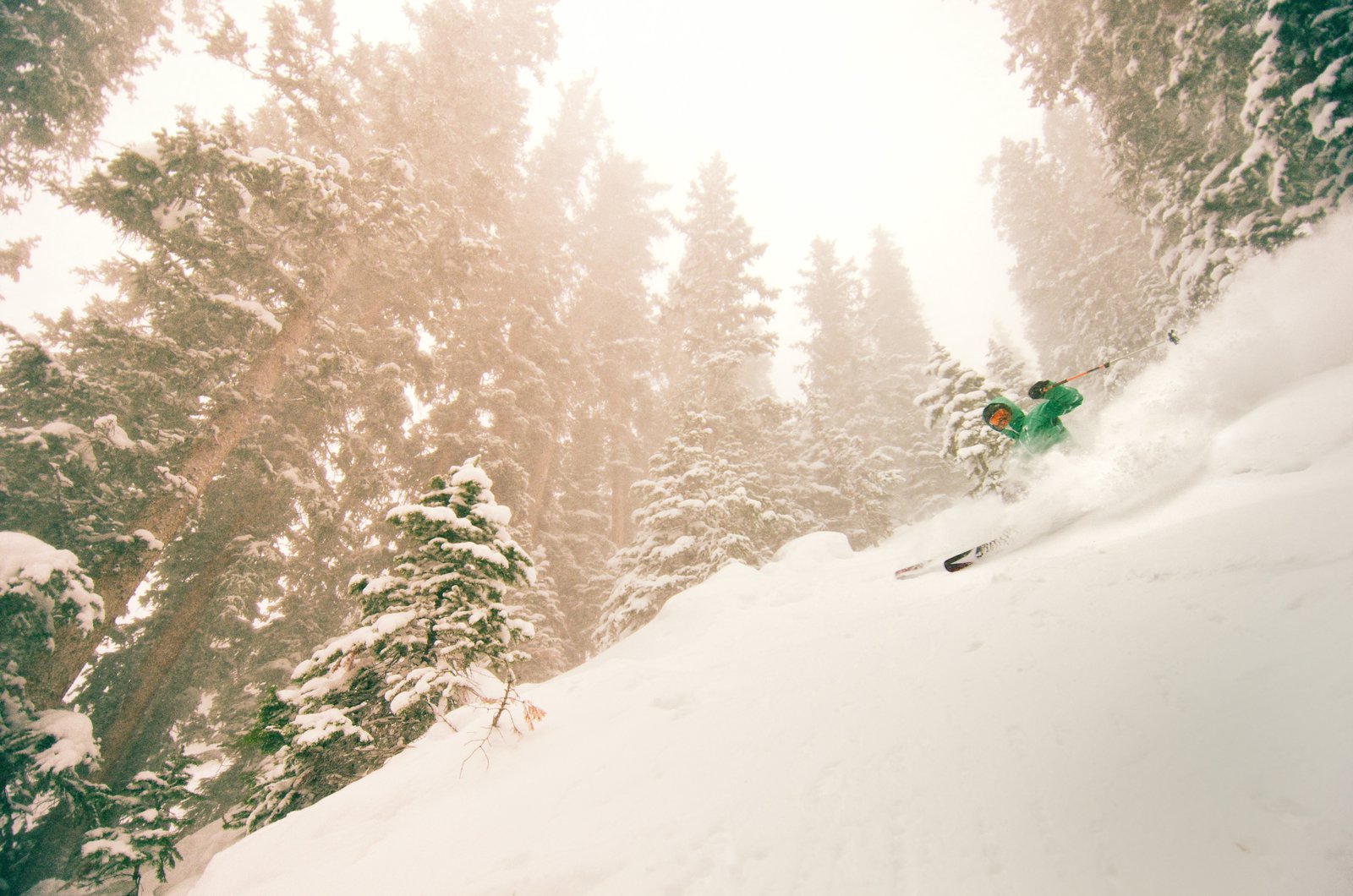 all I dream of is pow.