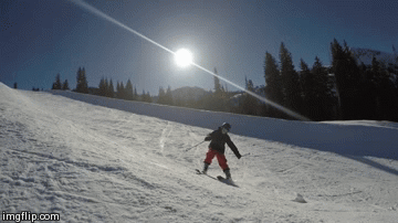 skiing is fun