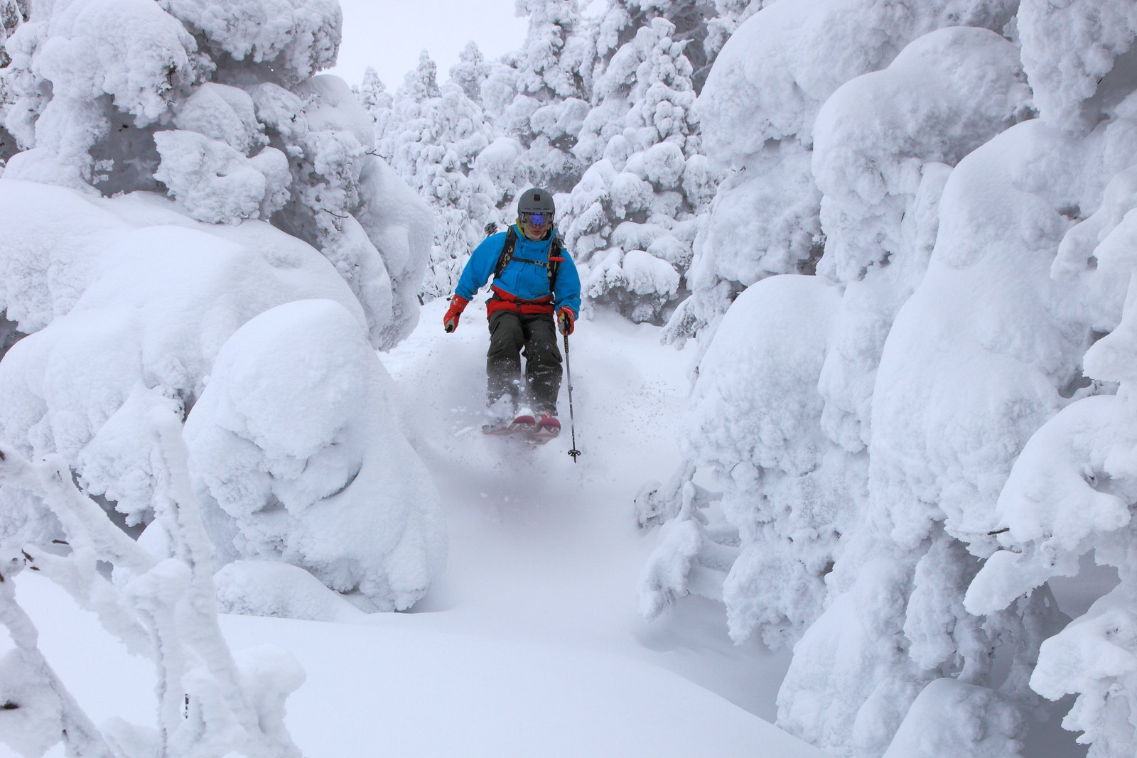 French Powder