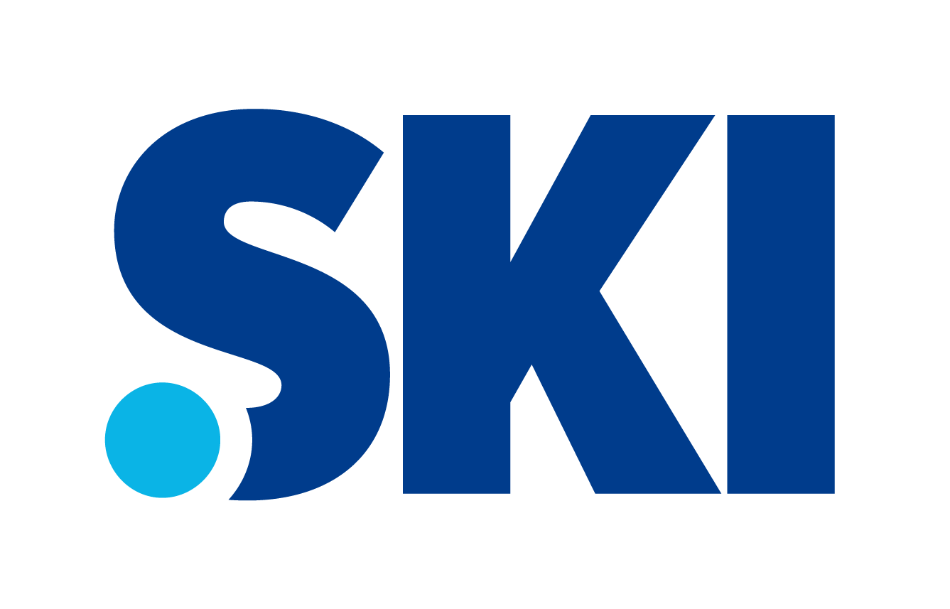  SKI Domain Names Now Available Newschoolers