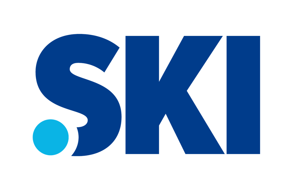 .SKI Domain Names Now Available