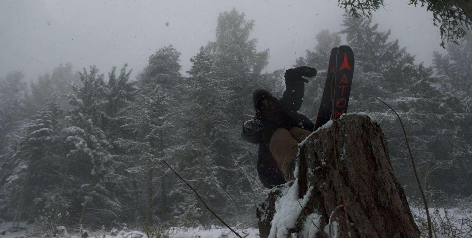 Forest shred
