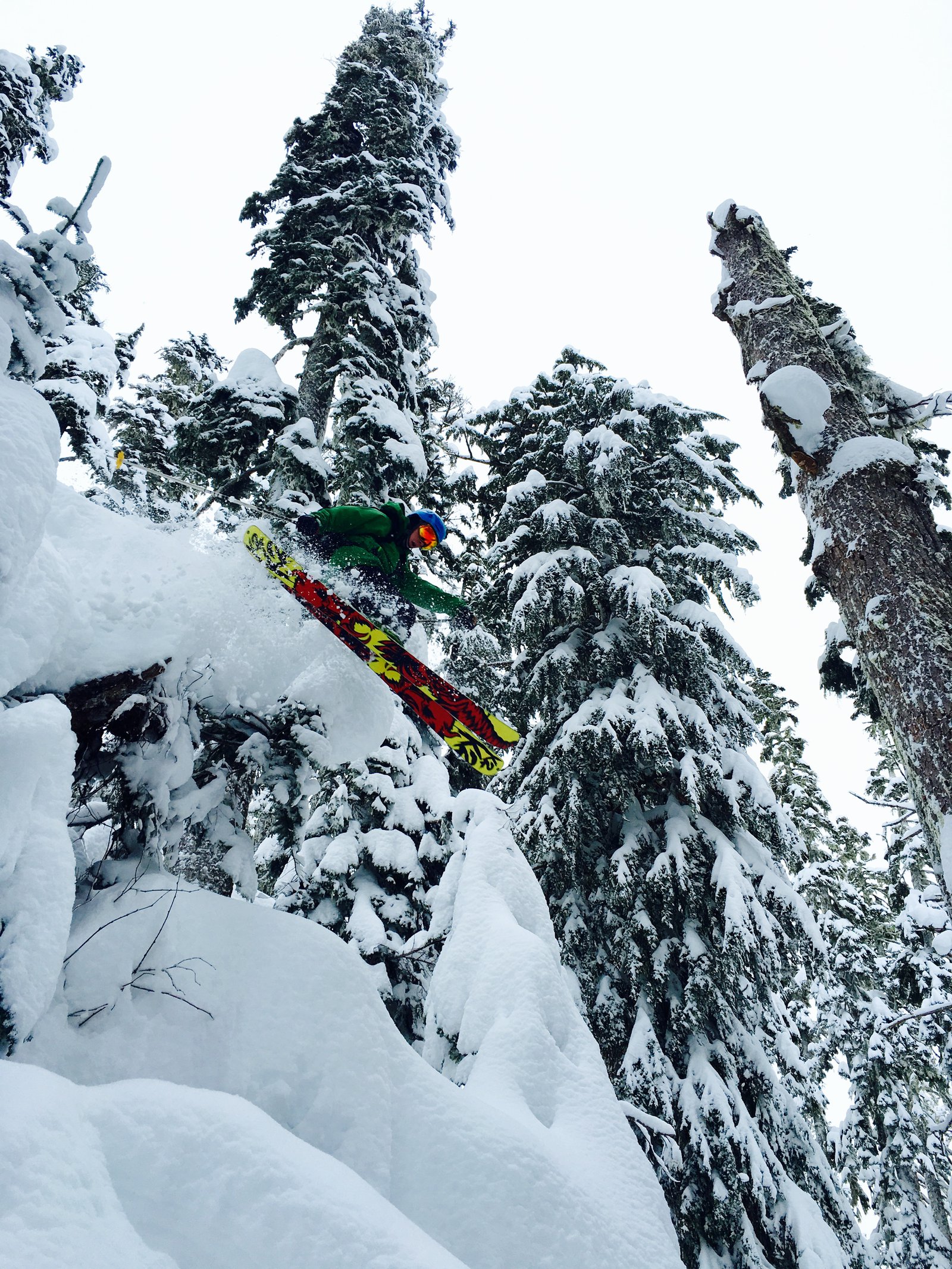 Skiing with the ents 