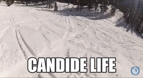 Candide Life