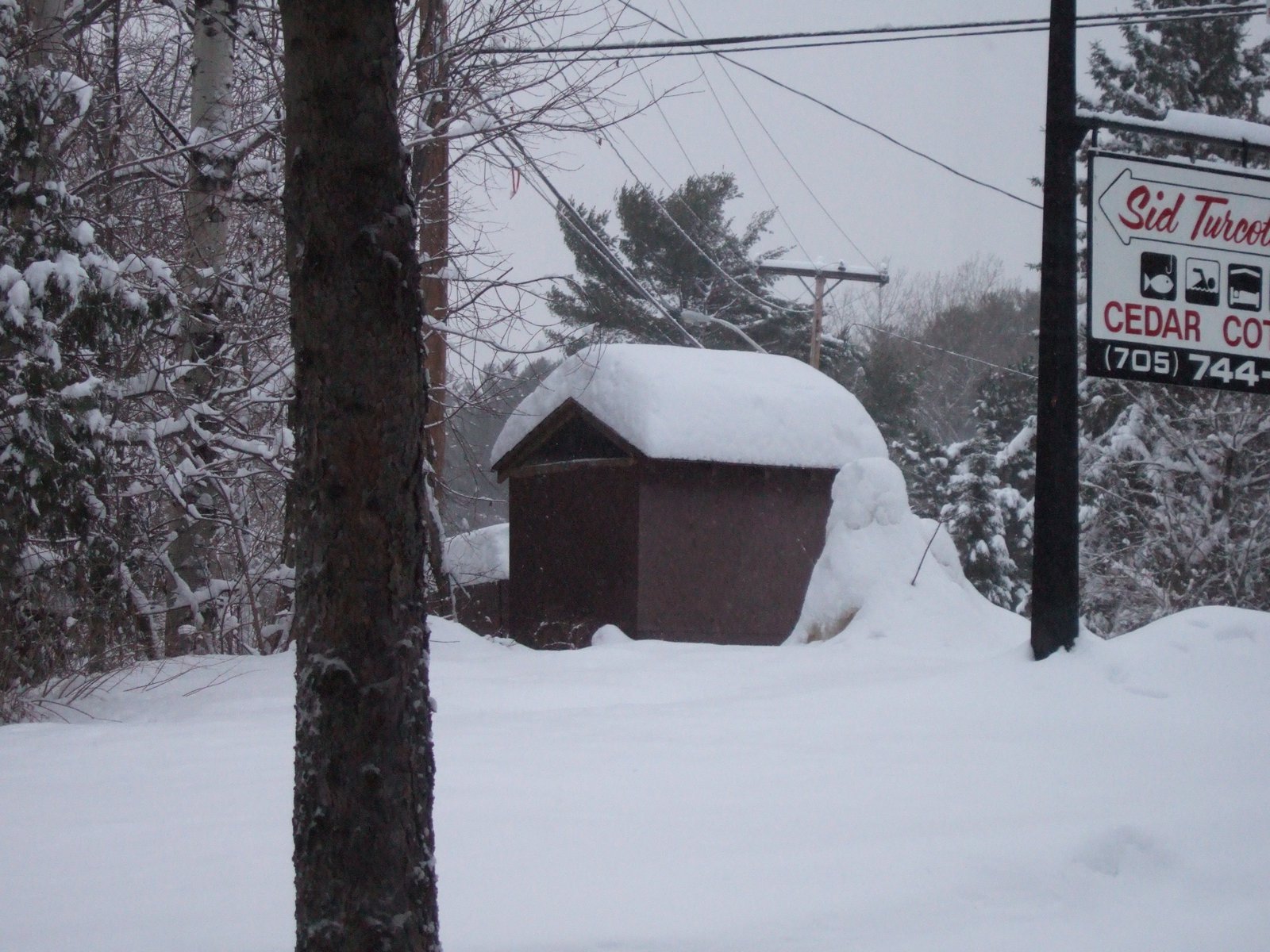 Massive amount of snow