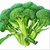 broccolirob profile picture