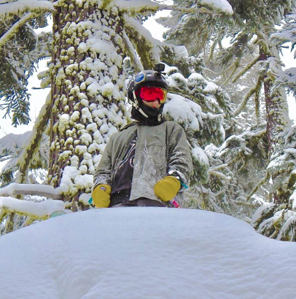 Looking Through Sierra-at-Tahoe trees