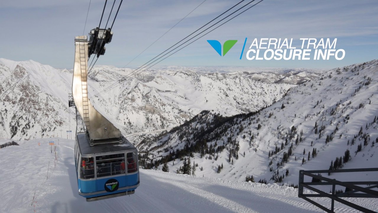 Snowbird To Build Terrain Park, Shut Down Tram - Radical Radish