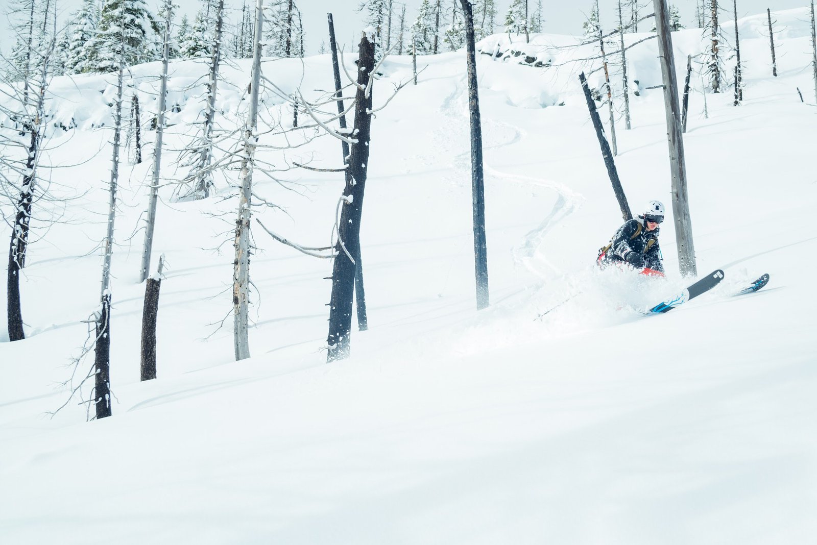 Santiam Pass