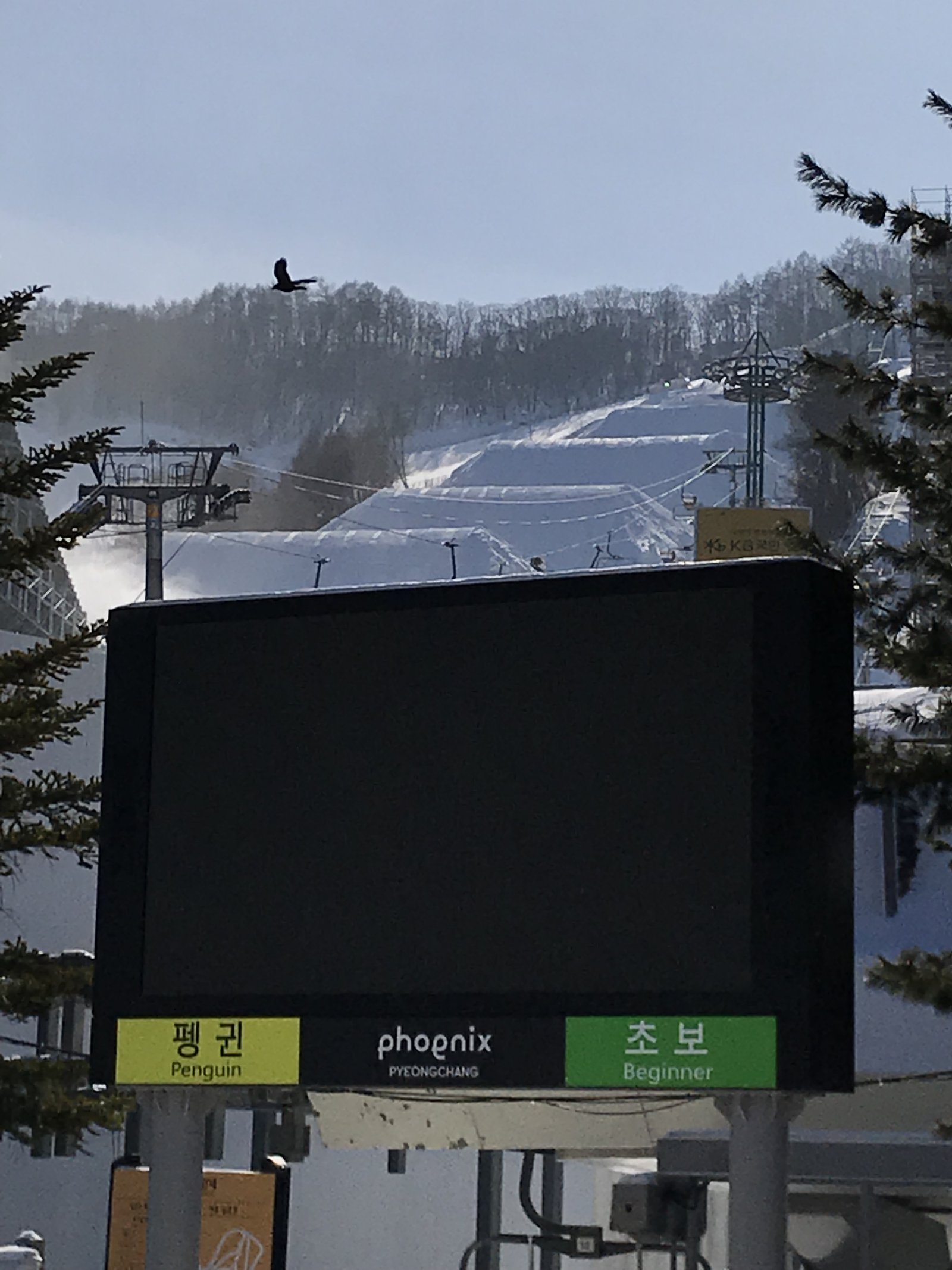 Olympic slope build