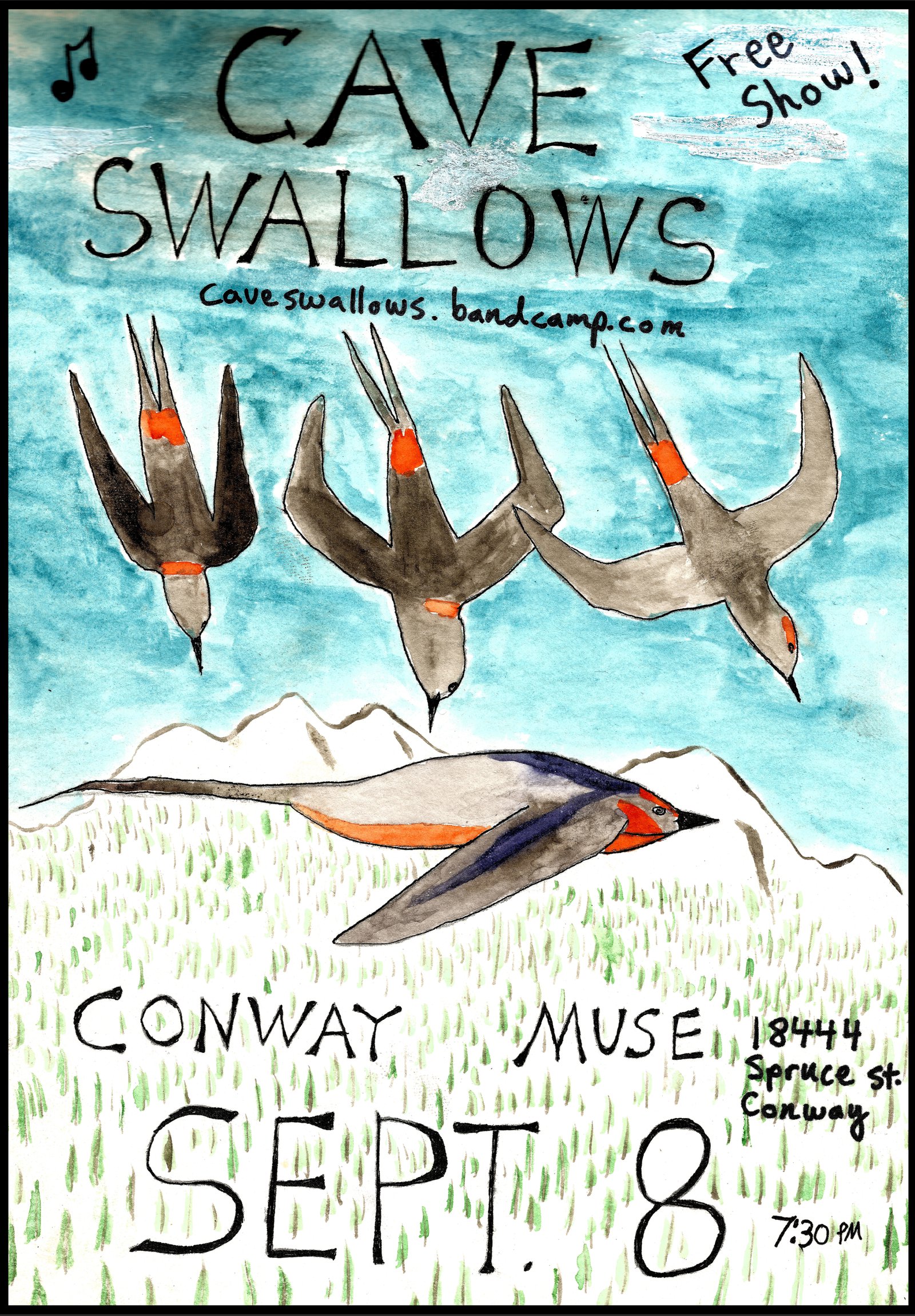 Cave Swallows Poster