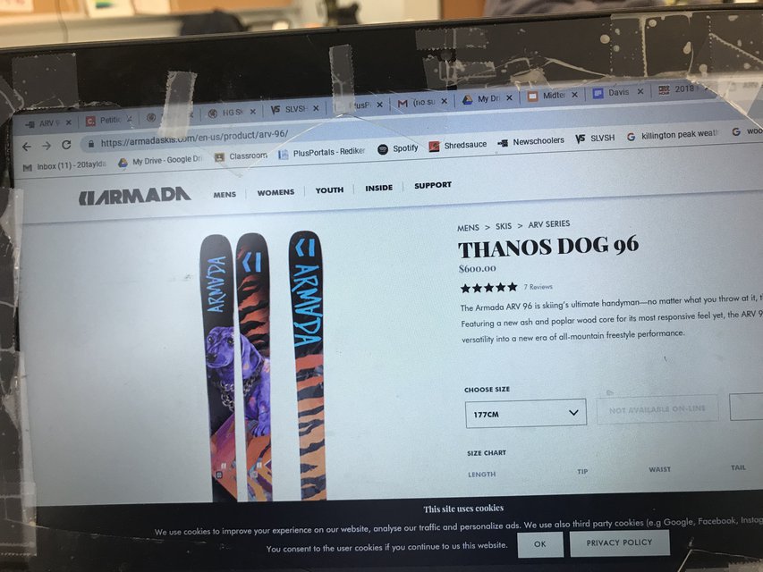 ARV 96s Thanos Dog Thanos Dog Ski Gabber Newschoolers