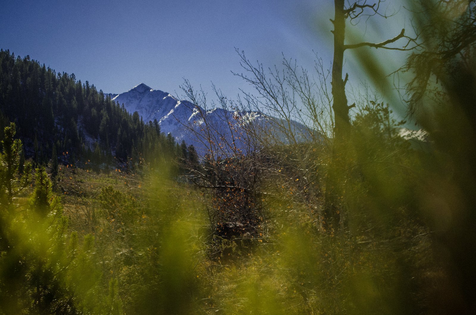 Some mountains