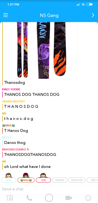 ARV 96s Thanos Dog Thanos Dog Ski Gabber Newschoolers