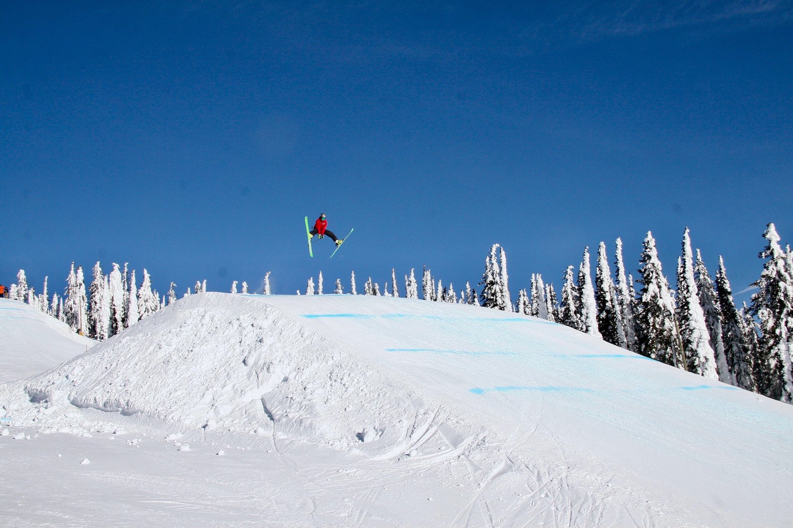 Cossak, TELUS Park