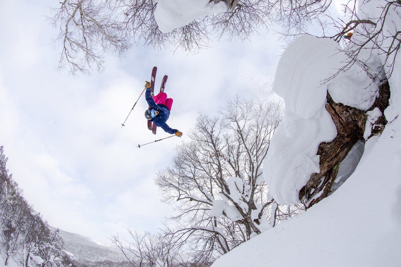 Backy in Japow