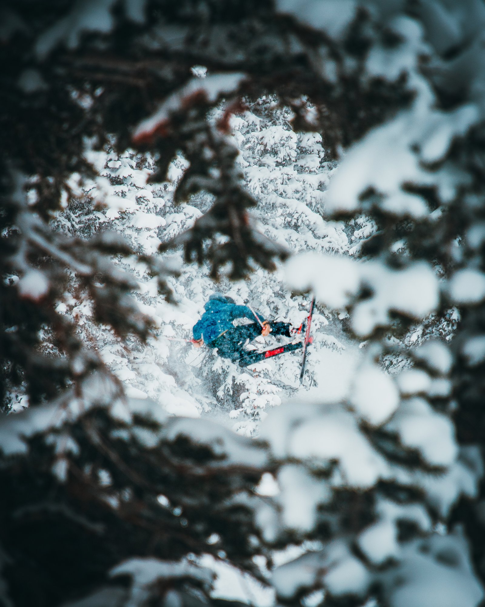 Flatspin through a tree.