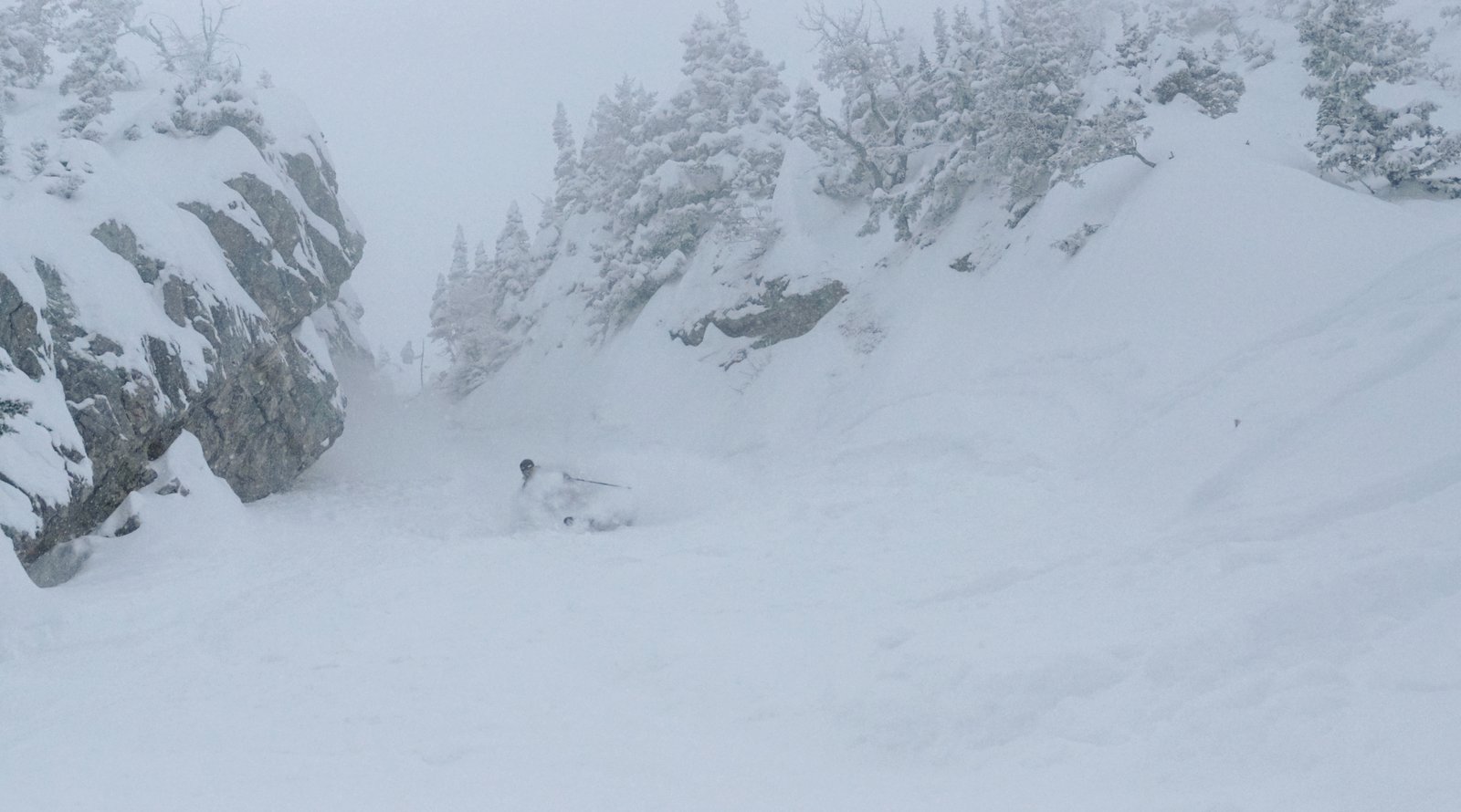 bridger bowl jaws patrol