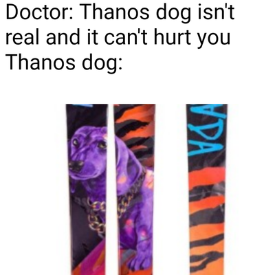 ARV 96s Thanos Dog Thanos Dog Ski Gabber Newschoolers