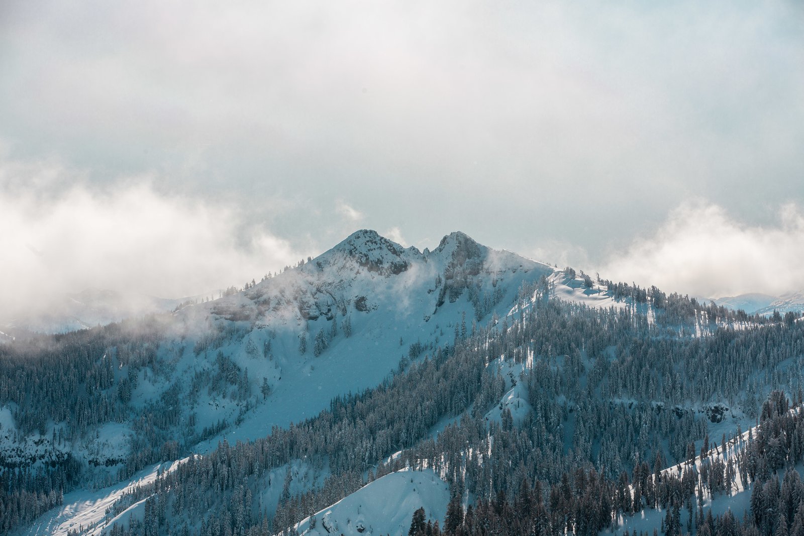 Alpine Meadows