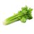 Celery profile picture