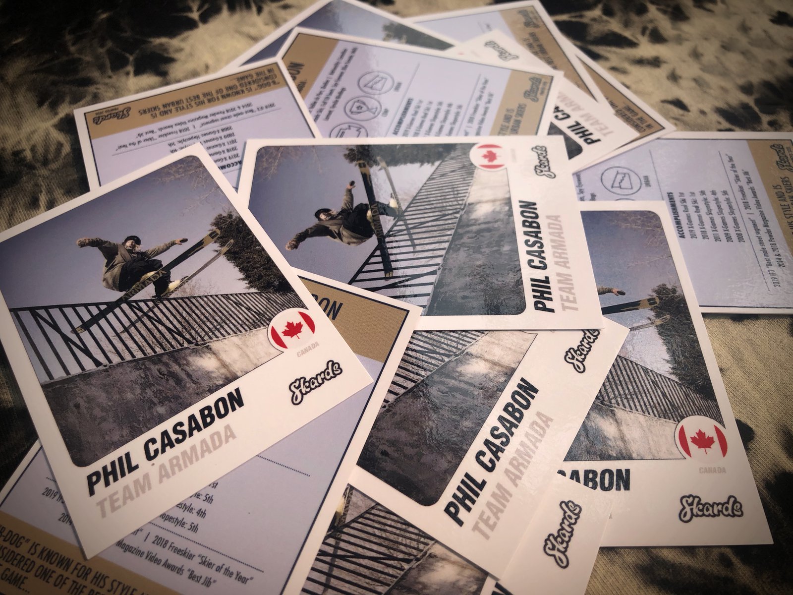 Skier Trading Cards!!