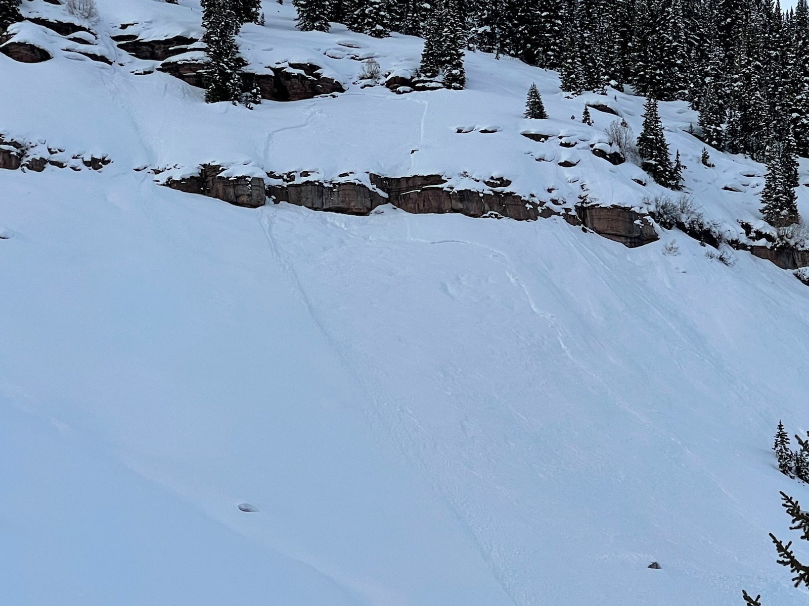 Fatal avalanche in East Vail Ski Gabber