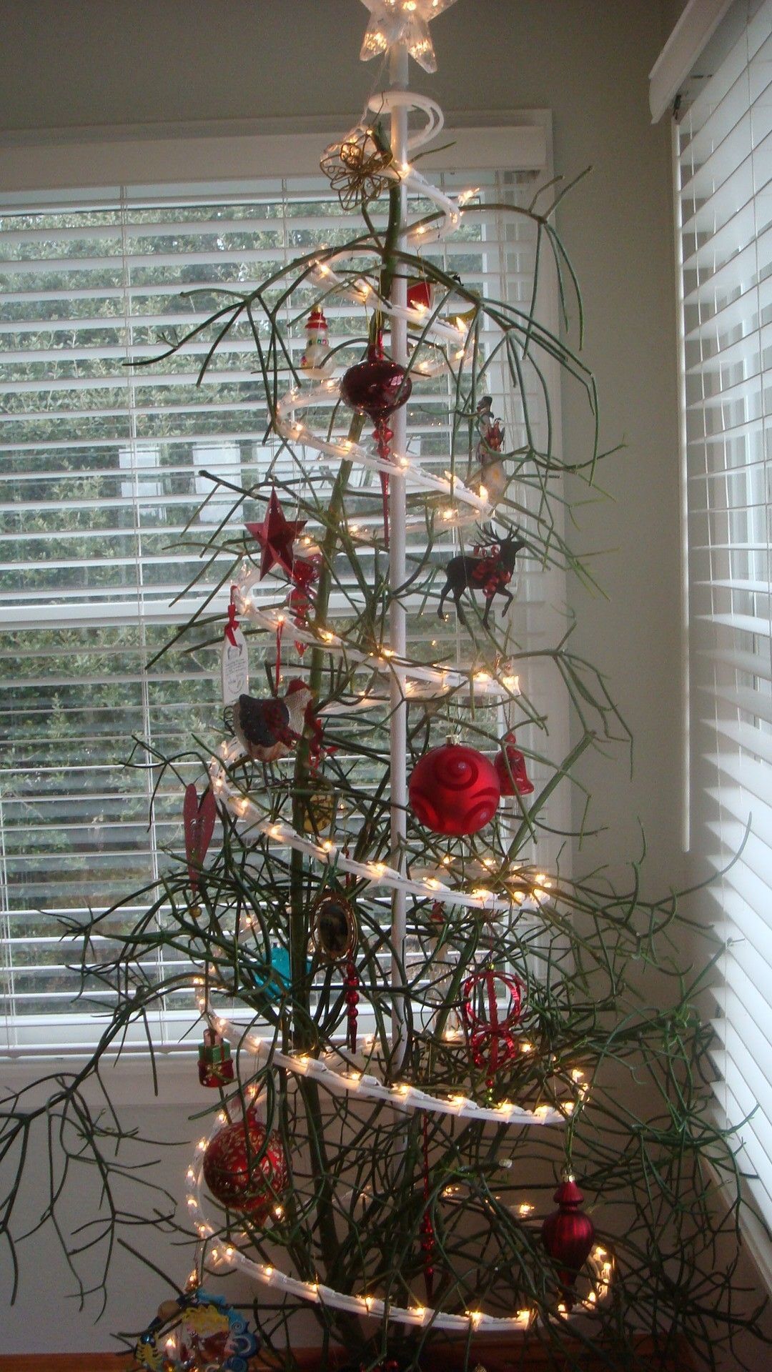Christmas Tree Disposal - Non-Ski Gabber - Newschoolers.com