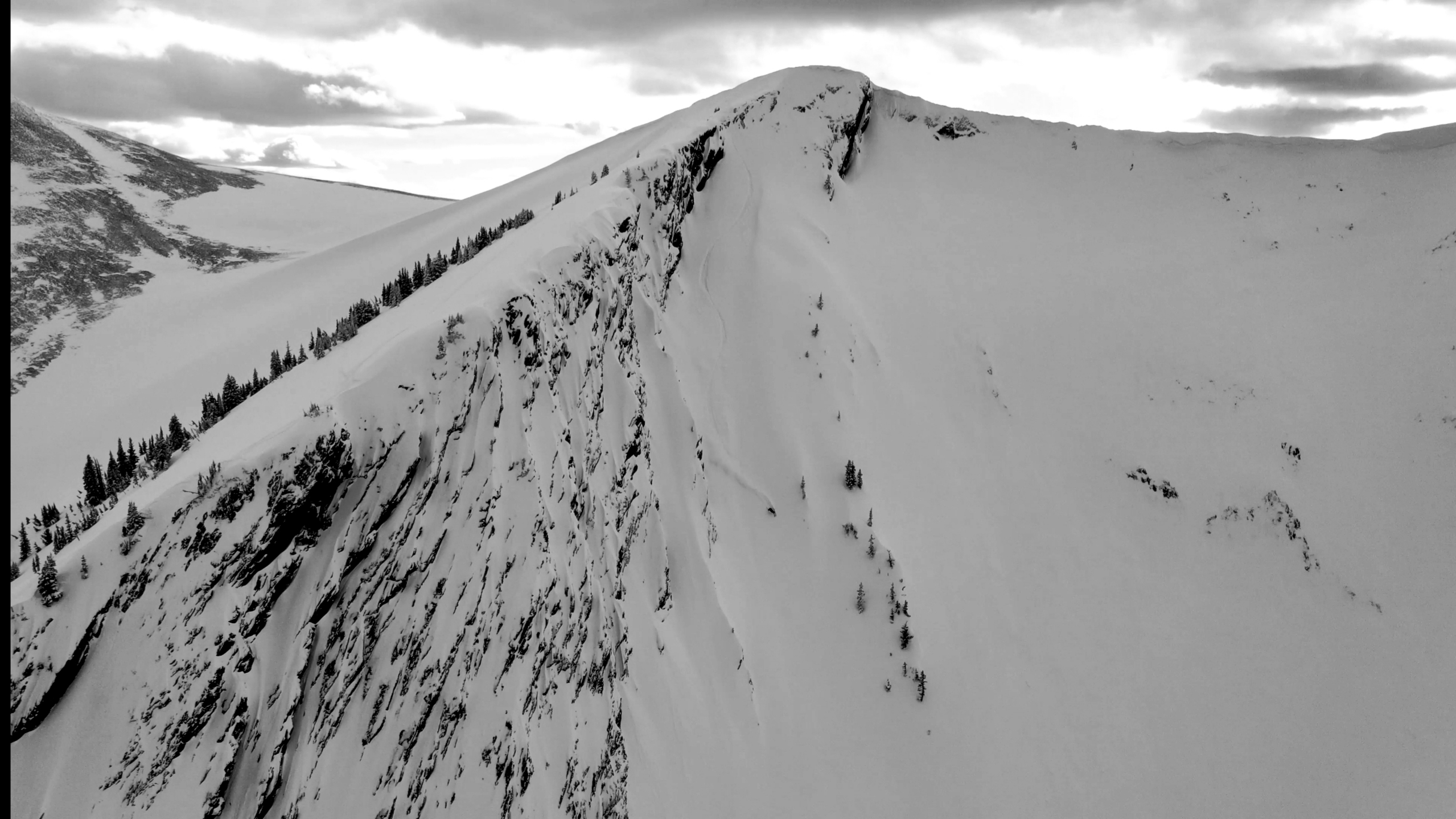 Dream line - Pictures - Newschoolers.com