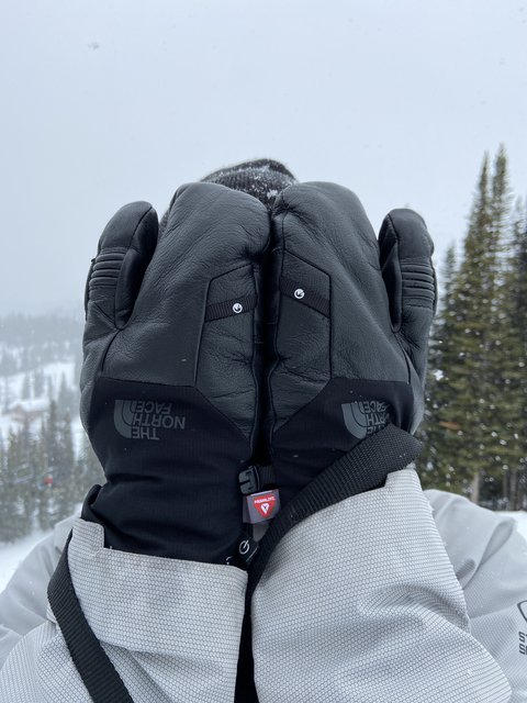 The north face patrol long hot sale gauntlet gloves