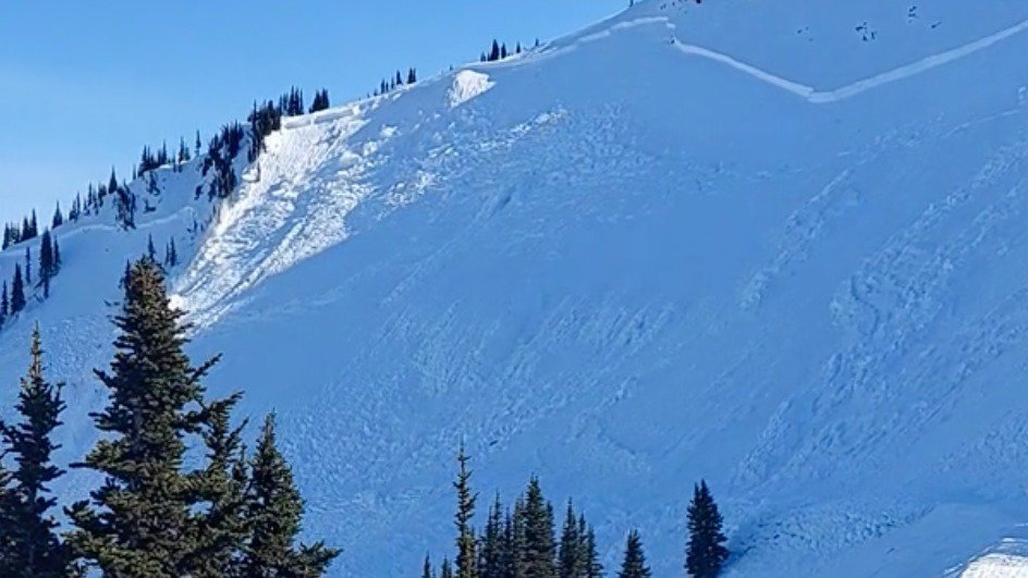 Huge Avalanche Wipes Out Forest At Crystal Mountain